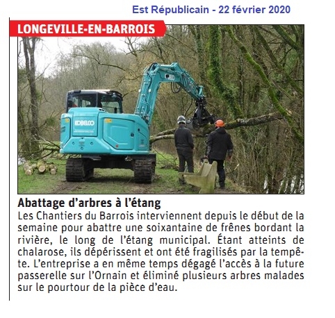 article de presse avec photo d'abattage d'arbres